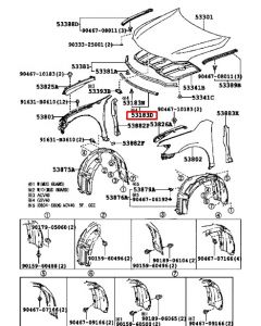 جلدة بين الكبوت و الشمعات