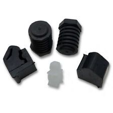 جلدة الكبوت الأمامية