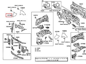 جلدة رفرف داخلية