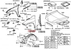 بطانة رفرف أمامي يمين