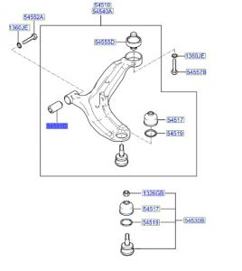 جلدة مقص سفلي