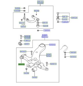 جلدة مقص سفلي