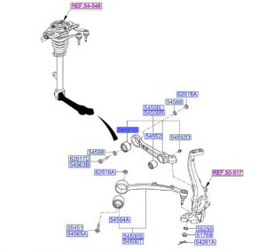 جلدة مقص سفلي