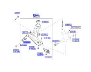 جلدة مقص سفلي (أ)