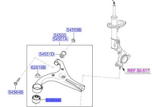 جلدة مقص سفلي