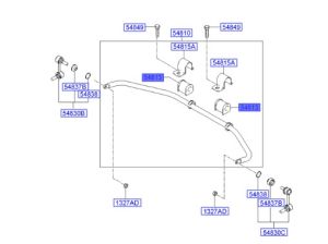 جلدة عامود التوازن