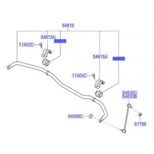 جلدة عامود التوازن