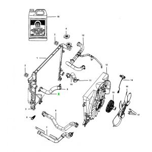 خرطوم ماء الرديتر