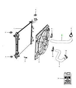 خرطوم ماء الرديتر