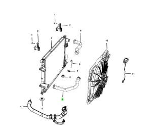 خرطوم ماء الرديتر