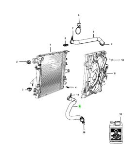خرطوم ماء الرديتر