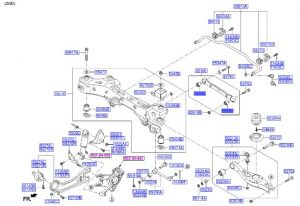 جلدة عمود توازن أمامي