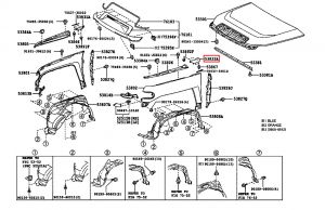 جلدة فوق الرفرف الأمامي