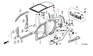 صاجة دعامة خلفية يسار
