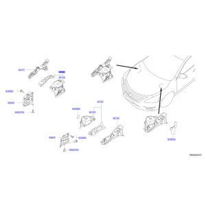 قطعة رفرف داخلي يمين
