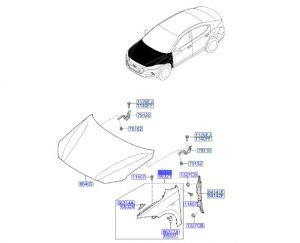 رفرف أمامي يسار