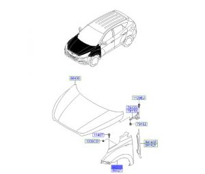 رفرف أمامي يسار