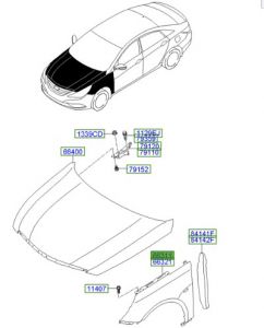 رفرف أمامي يسار