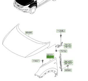 رفرف أمامي يسار