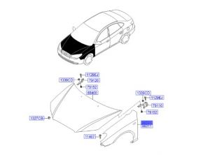 رفرف أمامي يمين