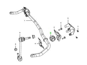 جلدة عامود التوازن