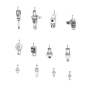 حساس الكرنك