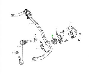 جلدة عامود التوازن
