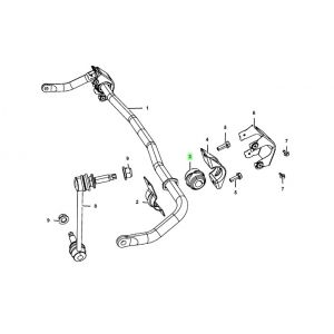 جلدة عامود التوازن