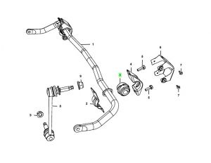 جلدة عامود التوازن
