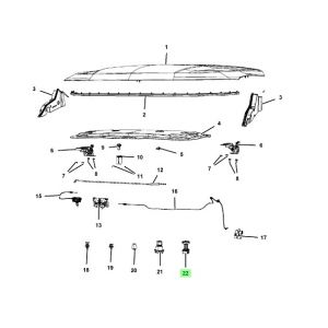 جلدة الكبوت الأمامية