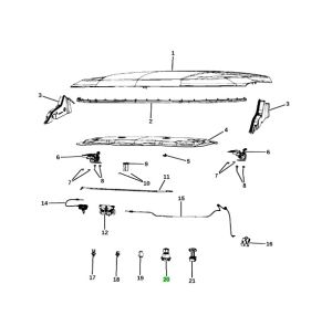 جلدة الكبوت الأمامية