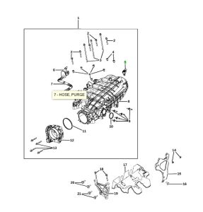 حساس الضغط المطلق