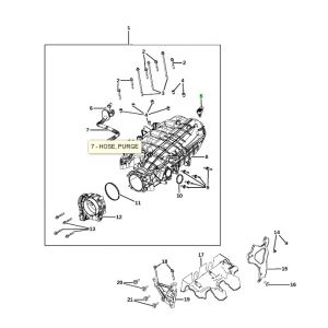 حساس الضغط المطلق