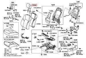 مسند راس أمامي