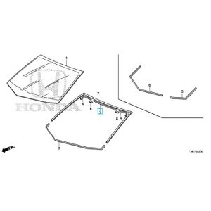 جلدة زجاج أمامي