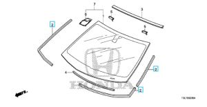 جلدة زجاج أمامي