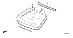 جلدة زجاج أمامي