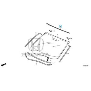 جلدة زجاج أمامي