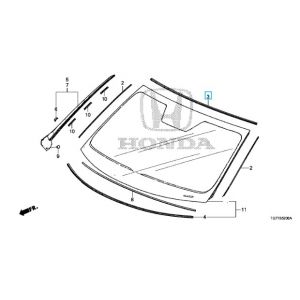 جلدة زجاج أمامي