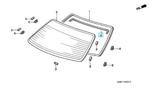 جلدة زجاج خلفي