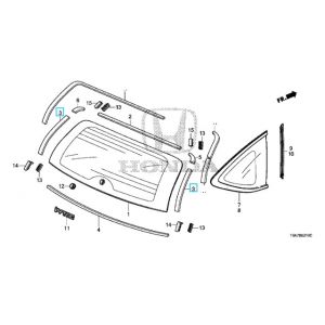 جلدة زجاج خلفي