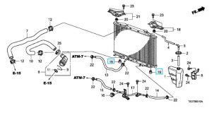 ربلة قاعدة رديتر