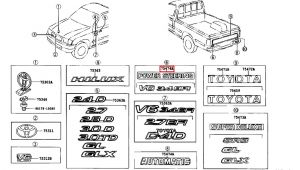 صاجة إسم أو شعار خلفي رقم 5