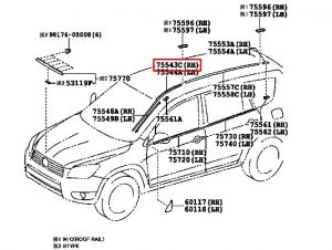 جلدة زجاج أمامي