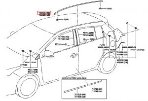 جلدة مجرى سقف