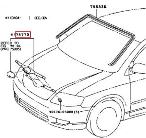 جلدة كبوت أمامية