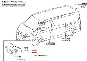 جلدة كبوت أمامية