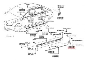 جلدة نسافة عتبة الباب رقم 2