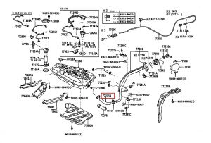 خرطوم من المدخل الى تنك الوقود