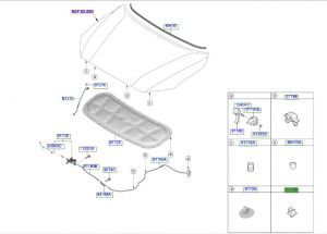 كلبس مثبت الكبوت